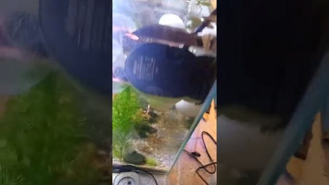 помпа 1500 л/ч , фильтр 5 микрон, смотрим что будет вечером смотреть онлайн