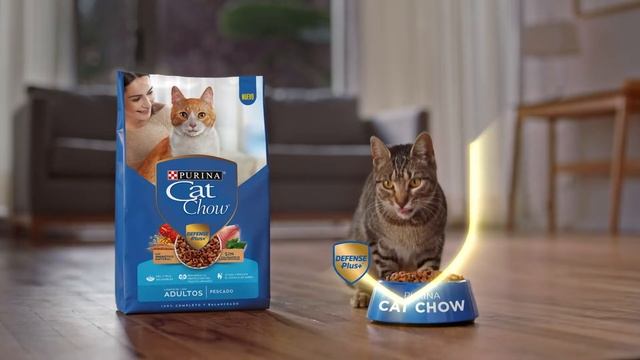 Purina Cat Chow – Protección para una vida mejor смотреть онлайн