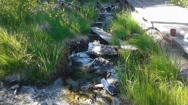 Целебный источник смотреть онлайн