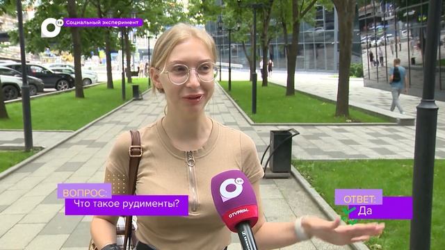 Социальный эксперимент / Школьные вопросы / 01.09.23 смотреть онлайн