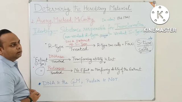 Determining the Genetic Material: Classical Experiments #griffith #Hershey&Chase #transformation смотреть онлайн