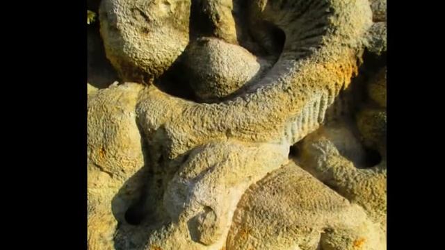 Каменец-Подольский Гала Готель. Скульптурный сад - Дендрарий. смотреть онлайн