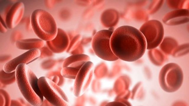 Chlorophyll HEALTH BENEFITS смотреть онлайн