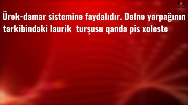 Dəfnə Yarpağını Qaynadın - Başdan Dırnağa kimi XƏSTƏLİKLƏR SAĞALACAQ! смотреть онлайн