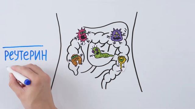 BioGaia.animation