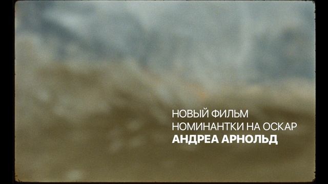 Птица | Трейлер | В кинотеатре «Москва» смотреть онлайн
