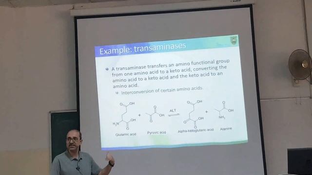 Biochemistry | lecture 19 | Dr.ahram смотреть онлайн