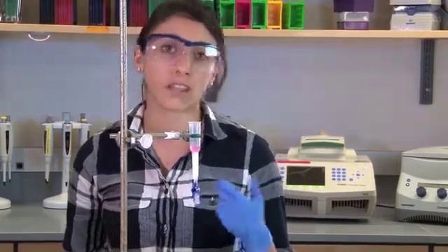 Lab 6 Overview: Purifying the Fluorescent Protein смотреть онлайн