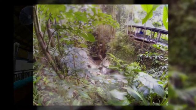 Yoga In Paradise :: Taksu Ubud Bali смотреть онлайн