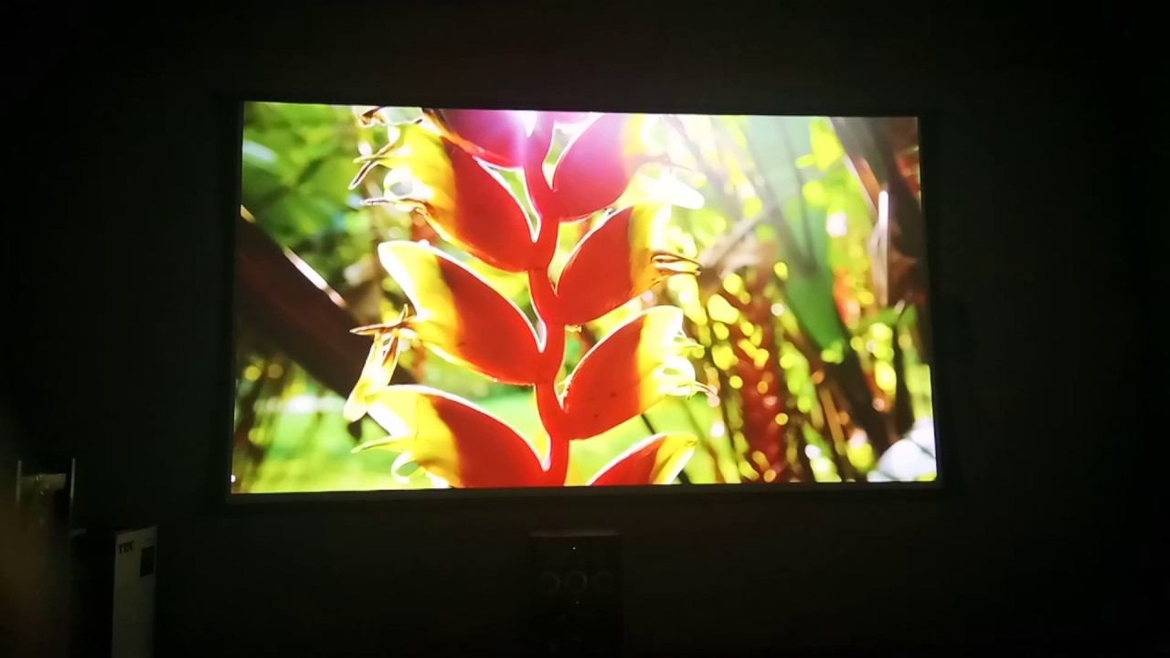Xgimi H1 02 150 polegadas смотреть онлайн