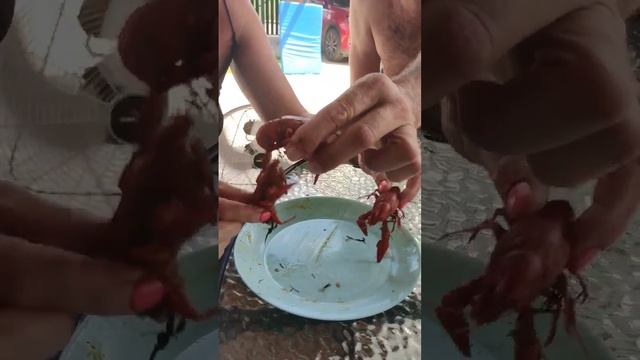 рак смотреть онлайн