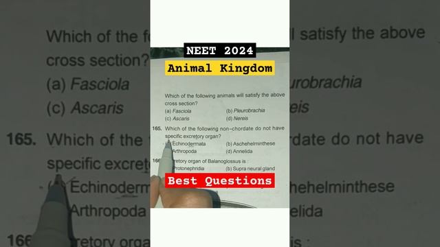 Animal Kingdom PYQs NEET 2024| Biology Important Questions AIIMS| #neet #aiims #study #pyq #ytshort смотреть онлайн