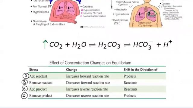 CHEM112_Lecture_12_6_2022 смотреть онлайн