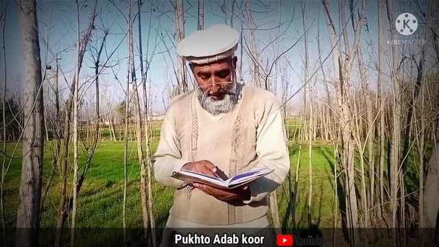 Te hbr ye || New pashto poetry || #Pukhto adab ||#Pashtopoetry смотреть онлайн