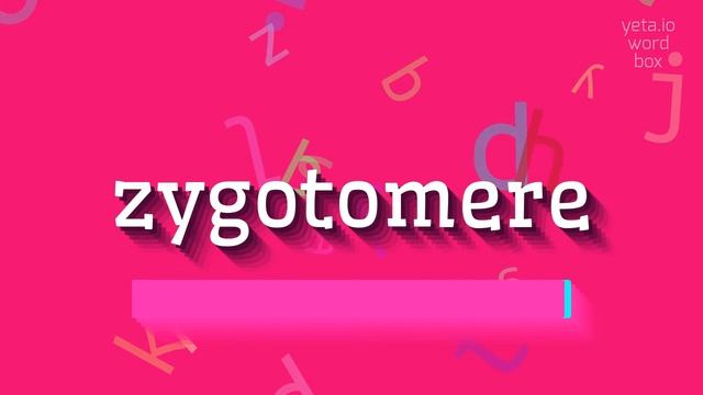 ZYGOTOMERE - HOW TO PRONOUNCE IT? #zygotomere смотреть онлайн