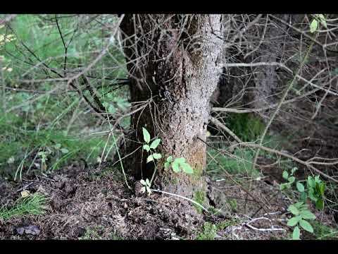 Осень смотреть онлайн
