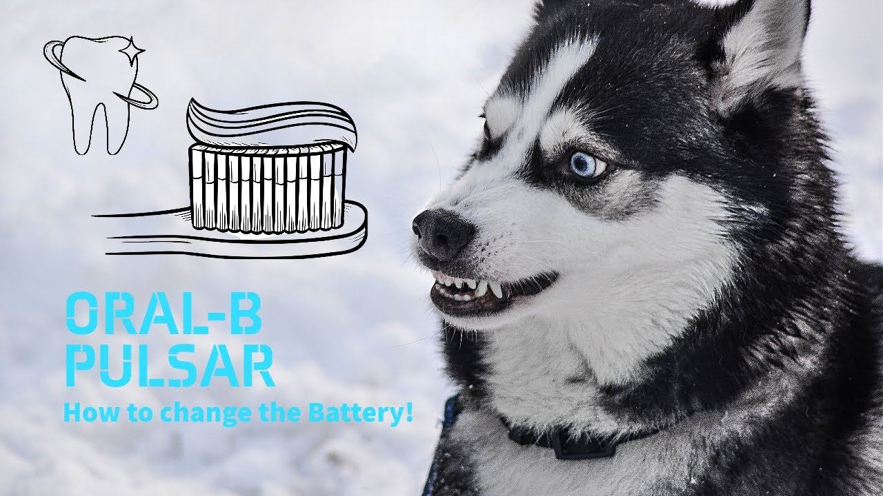 Oral-B Pulsar Battery Change - How to extend the lifetime! смотреть онлайн