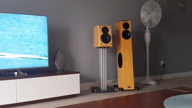 Audio Physic Tempo VI sound test смотреть онлайн