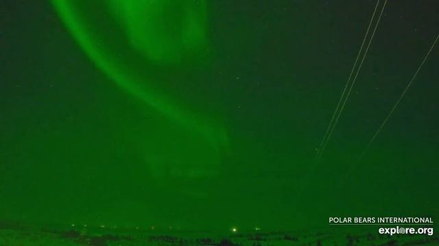ПОЛЯРНЕ СЯЙВО. ЧУРХІЛЛ. КАНАДА 17-12-22 - NORTHERN LIGHTS. CHURCHILL. MANITOBA. CANADA смотреть онлайн