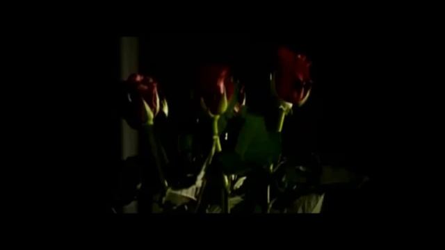 ДуэтыSmule-click Anka+Elestrado13=Понарошку-Юрий Титов. Сериал Кадетство-Полина и Максим #duetsmule