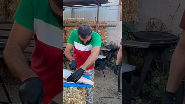 НАРЕЗАЕМ САЗАНА НА ШАШЛЫК