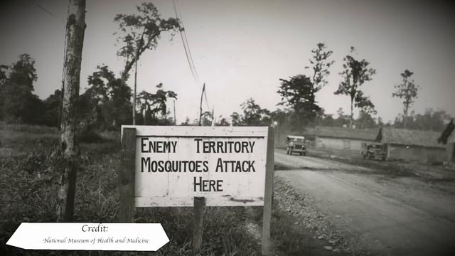 The Dark Side of Science:The Horrific Stateville Prison Malaria Experiment 1944 | short Documentary смотреть онлайн