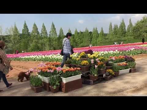 Sera kogen смотреть онлайн