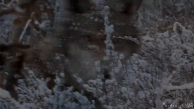 Tris & Four - Wolves смотреть онлайн