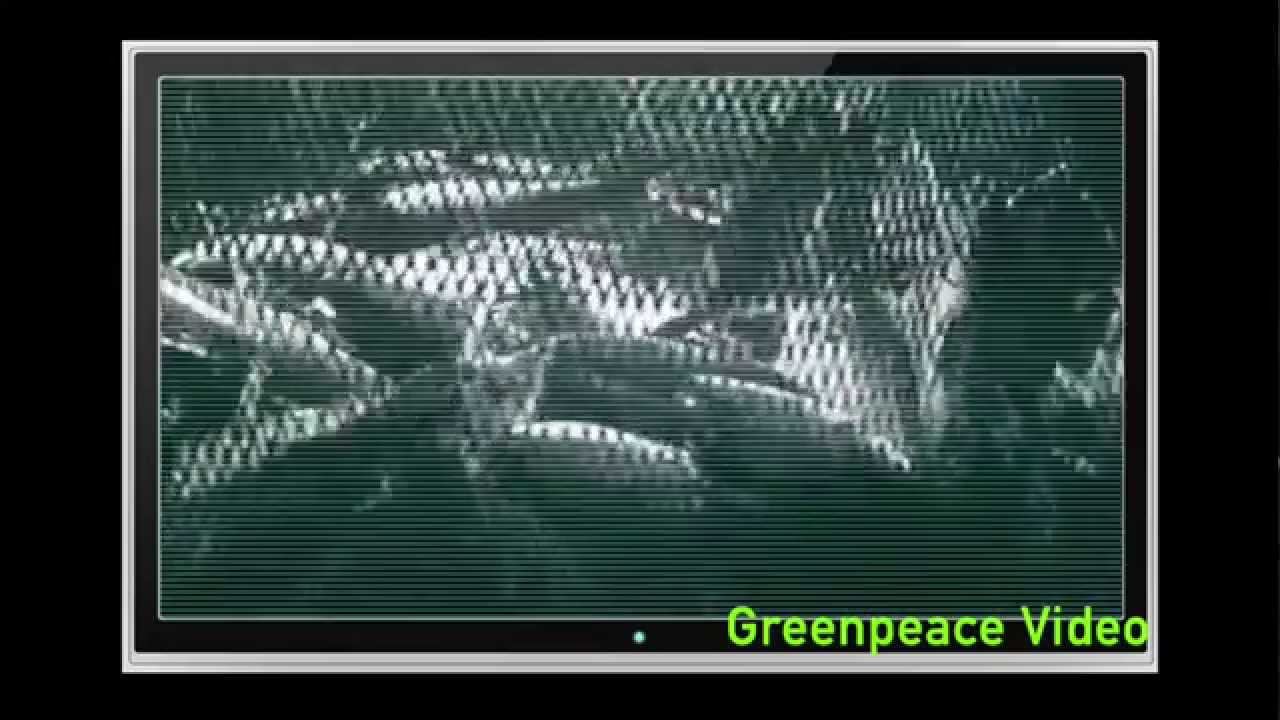 Greenpeace’s FAD Deception - Spanish смотреть онлайн