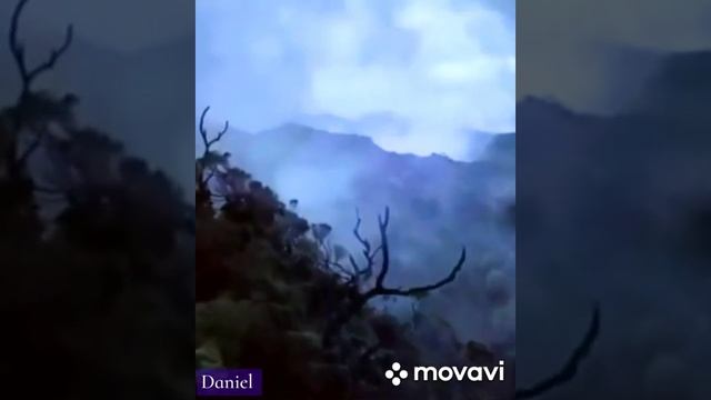 Модерн Мартина.🌦🌨🌦