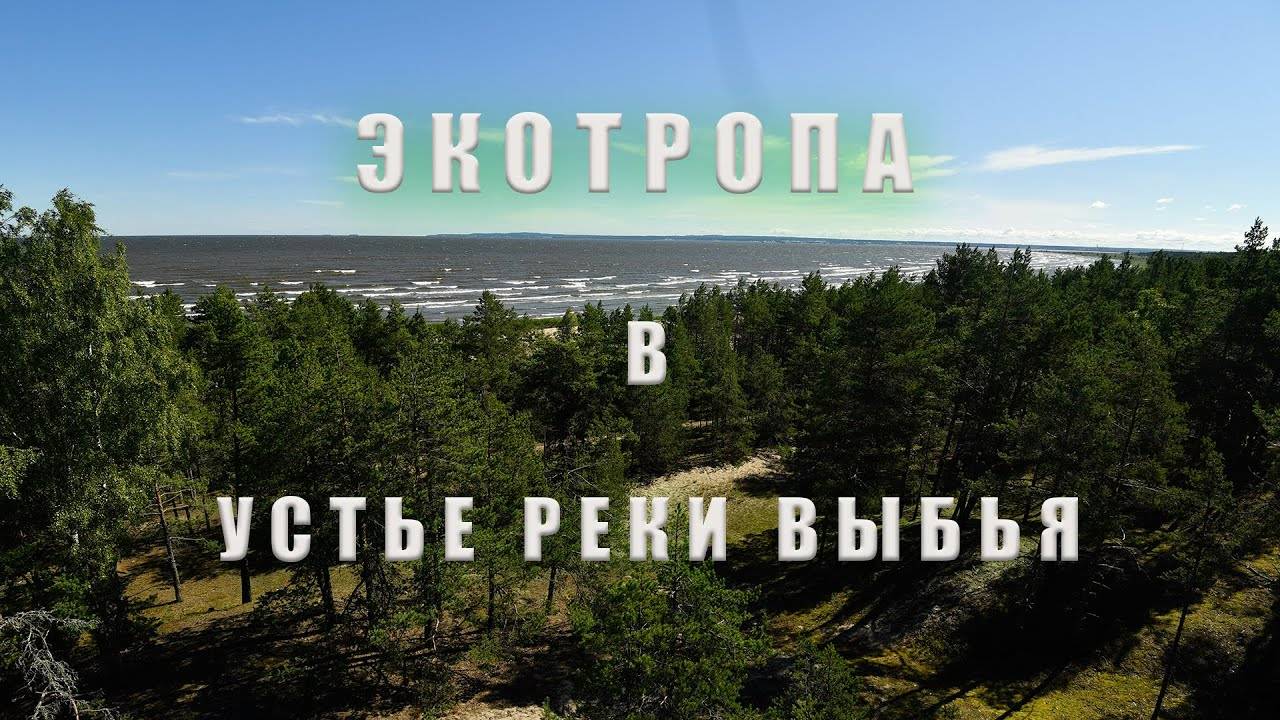 Экотропа в устье реки Выбья.