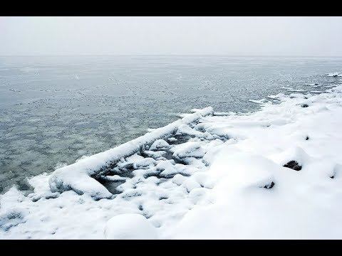 4 замёрзшых жывотных смотреть онлайн