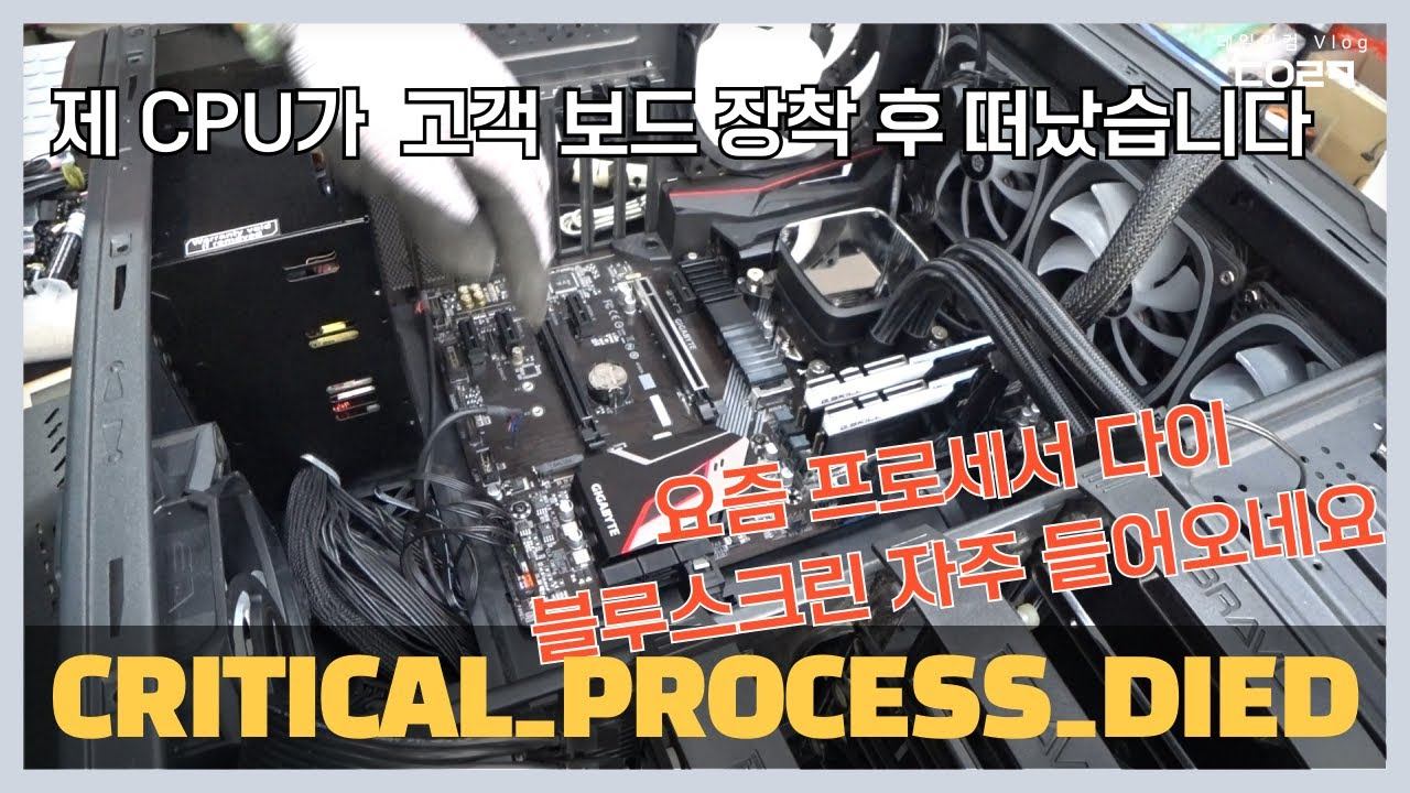 3월 9일 토요일 저희 CPU가 고객보드에 장착 후 DIE 했습니다 | 요즘 CRITICAL_PROCESS_DIED블루스크린이 왜 이리 많이 들어오죠 | 컴퓨터 수리 매장 일상 смотреть онлайн
