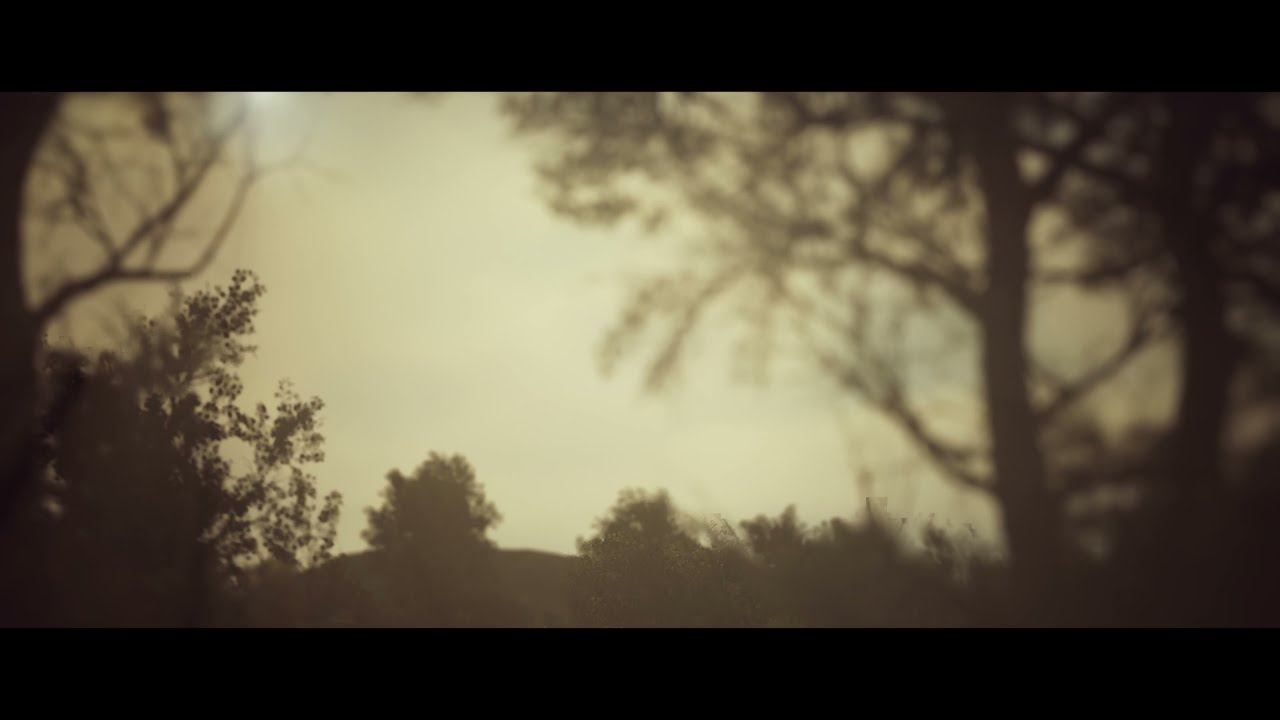 Unreal Engine 5 Forest scene UE5 Megascans Trees early access смотреть онлайн