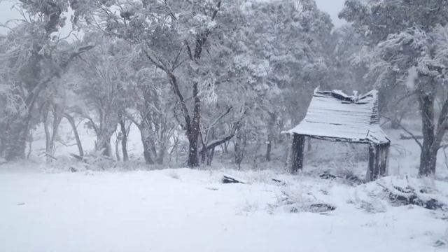 2014 06 28 Gooandra Homestead snowshoe смотреть онлайн
