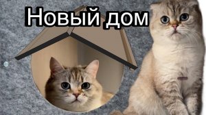 Дом Мисы! (часть 1 и 2)