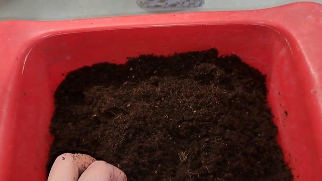 Кокосовый субстрат UGro Small Rhiza первое впечатление, страна-изготовитель Испания смотреть онлайн