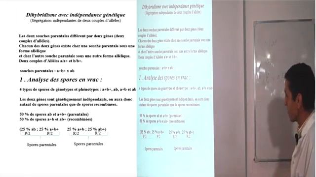 Génétique SVI S4 : Partie 1 смотреть онлайн