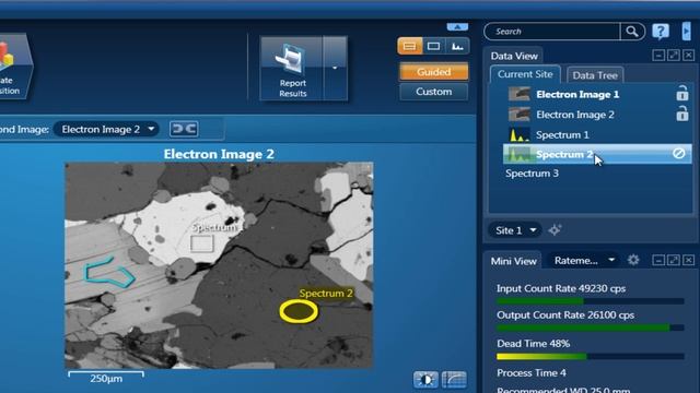 PointID смотреть онлайн