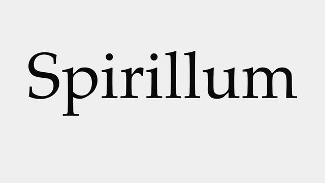 How to Pronounce Spirillum смотреть онлайн