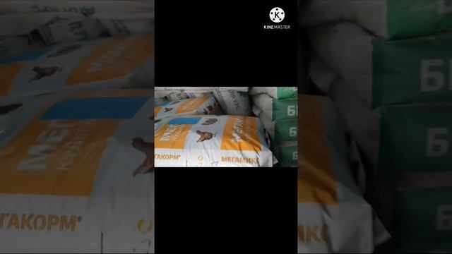 Комбикорм "Мегомикс".Наш корм ✊👍.Біздің таңдауымыз "Мегомикс". смотреть онлайн