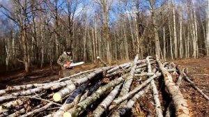 STIHL 180 Сколько напилит Дров на 1 Баке. ЭКСПЕРИМЕНТ!