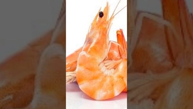 Органический Йод Сибирское здоровье смотреть онлайн