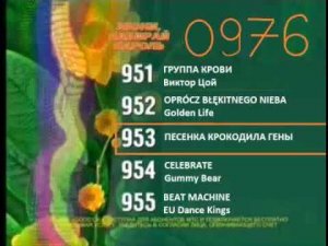 Реклама на BRIDGE TV 2012 (28/70)