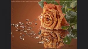 Далеко, далеко