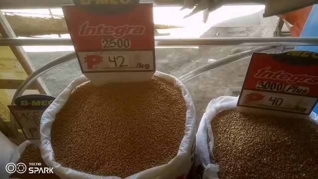 BMEG INTEGRA FEEDS!!!#INTEGRA2500 смотреть онлайн