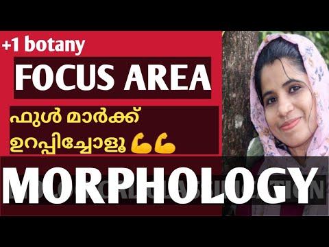 FOCUS AREA | +1botany | Morphology of flowering plants | sameerapp смотреть онлайн