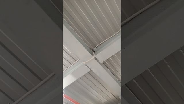 Проложили пожарный кабель на пищевом производстве! #ремонтс_богабога