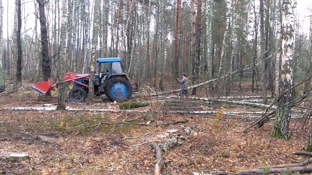 Валка, Треллевка, Погрузка Березы с КОРНЯ. ЛТЗ-60, Десятикубовка || Stihl ms361. смотреть онлайн