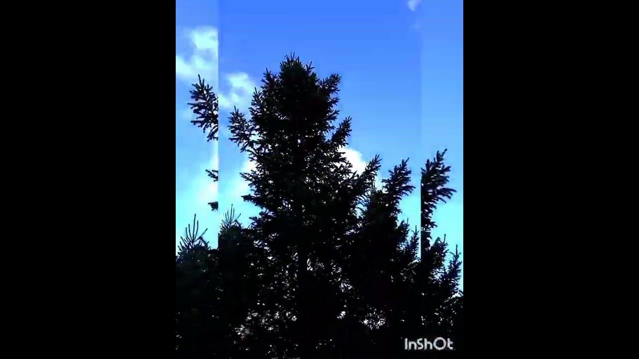 красота родного края Казахстан смотреть онлайн